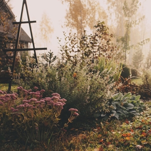 get lawn ready for winter