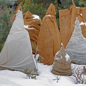 purpose behind burlap covers