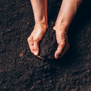 What to know about soil