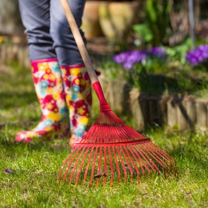 a woman is using rake for leaves