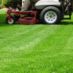 Best Time to Mow the Lawn