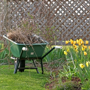 a wheelbarrow with garden twigs