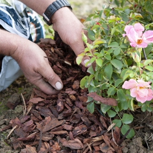Changing mulch