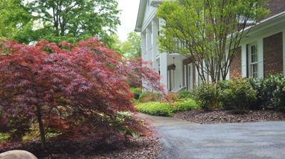 Paved path with vibrant trees and shrubs. Photo