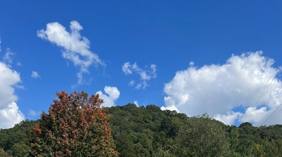 Paved driveway curves through a grassy yard. Photo