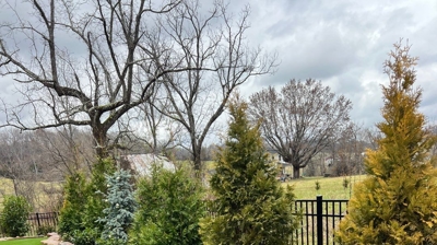 Landscaped backyard with artificial turf, stonework, and plants. Photo