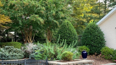 Garden with a stone wall, bushes, and trees. Photo