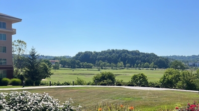 A grassy area with trees and a building in the foreground. Photo