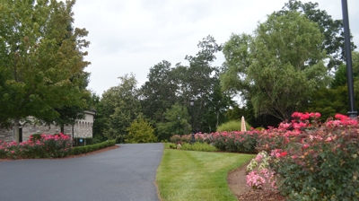 Landscaping with flowers and trees Photo