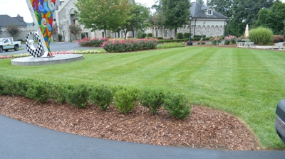 A lawn with shrubs and landscaping. Photo