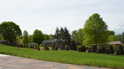 Garden or yard scene Photo