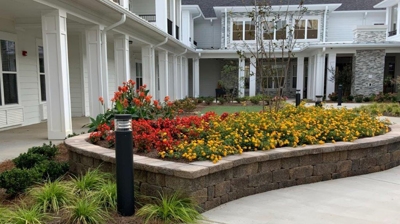 Landscaping with buildings in the background Photo