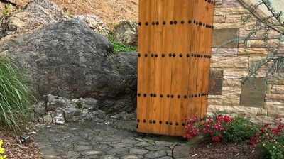 paved pathway with plants in brown mulch on both sides Photo