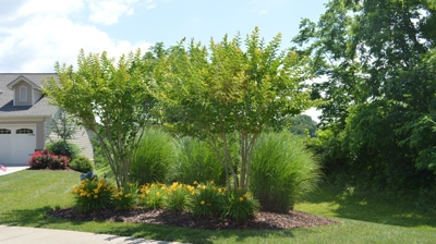 A house with landscaping. Photo