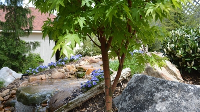 Garden with waterfall, rocks, and flowers Photo