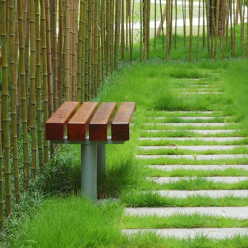 How to Keep Bamboo from Spreading? Kingsport Johnson City, TN