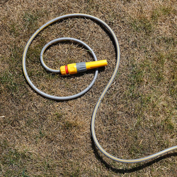 Care for Your Lawn During Drought Conditions