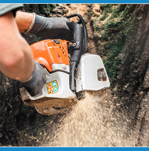 Tree Services
